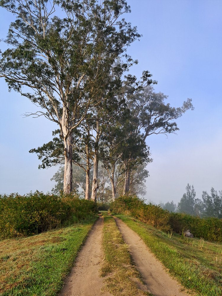 Road to nowhere - 1