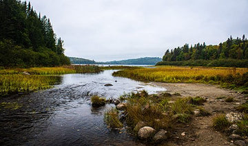 Kiosk Lake  - 1