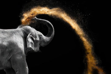 Elephant playing in Sand - 1