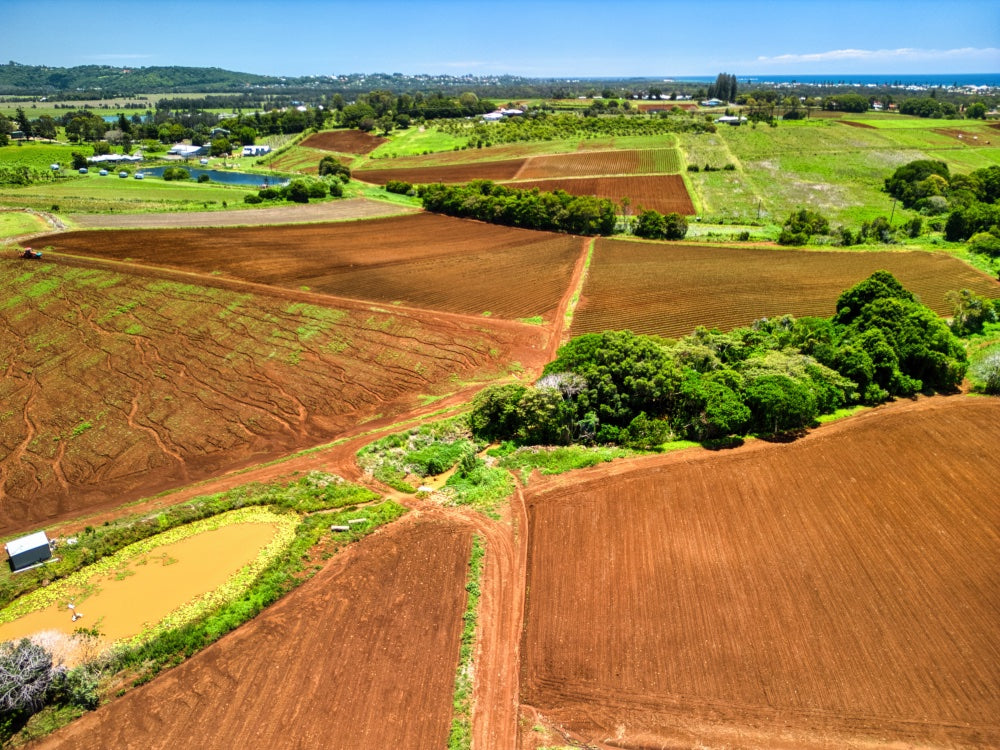 Kingscliff - Farmlands - 1