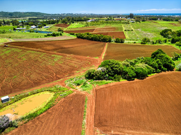 Kingscliff - Farmlands - 1