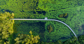 Urunga Wetlands Aerial - 1