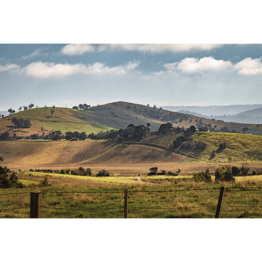 Autumn sun - Healesville  - 2