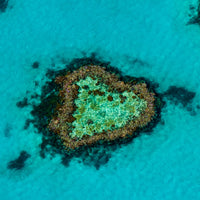Heart Reef - The Great Barrier Reef, Whitsundays  - 1