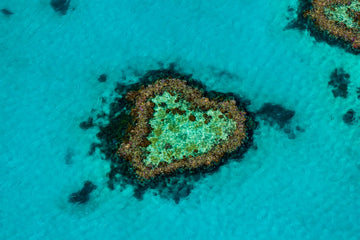 Heart Reef - The Great Barrier Reef, Whitsundays  - 1