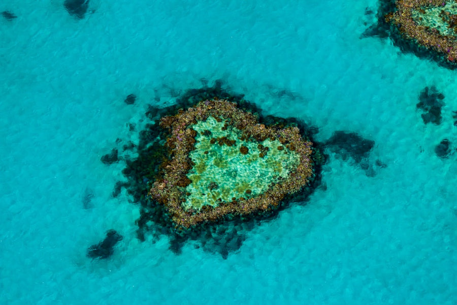 Heart Reef - The Great Barrier Reef, Whitsundays  - 1