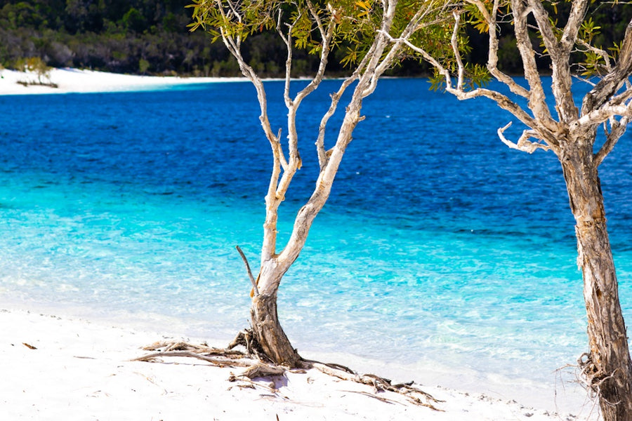 Lake McKenzie / Boorangoora - Fraser Island / K'gari, Queensland, Australia - 1