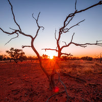 Sunrise on the Plenty Highway - Northern Territory, Australia - 1