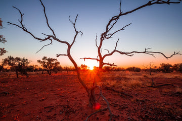 Sunrise on the Plenty Highway - Northern Territory, Australia - 1