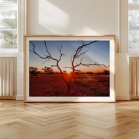 Sunrise on the Plenty Highway - Northern Territory, Australia - 3