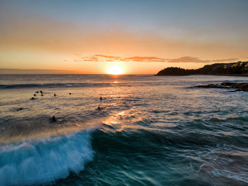 Manly - Sunrise Surfers