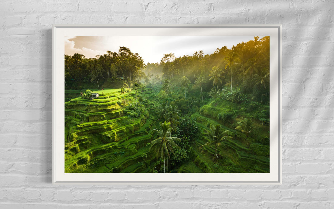 Tegalalang Rice Terrace, Ubud, Bali 7