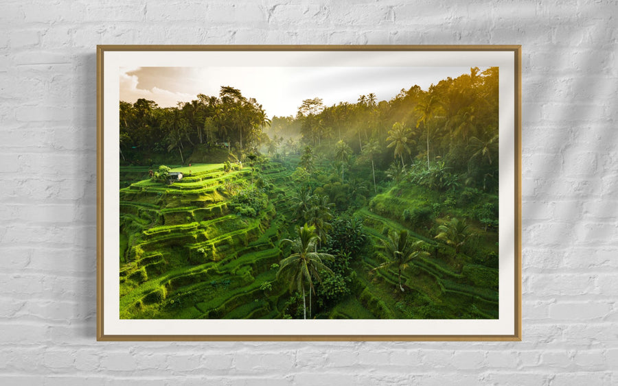 Tegalalang Rice Terrace, Ubud, Bali 7