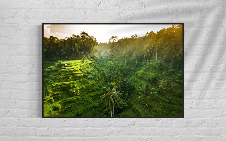 Tegalalang Rice Terrace, Ubud, Bali 7