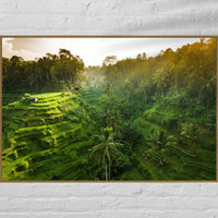 Tegalalang Rice Terrace, Ubud, Bali 7