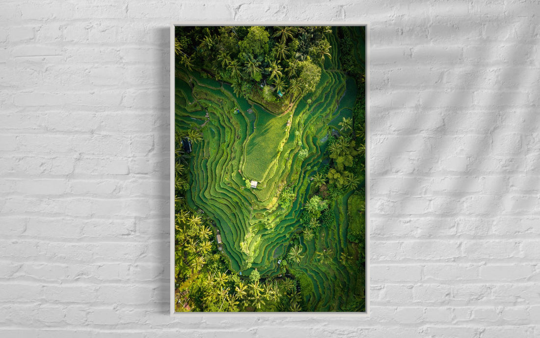Tegalalang Rice Terrace, Ubud, Bali 5