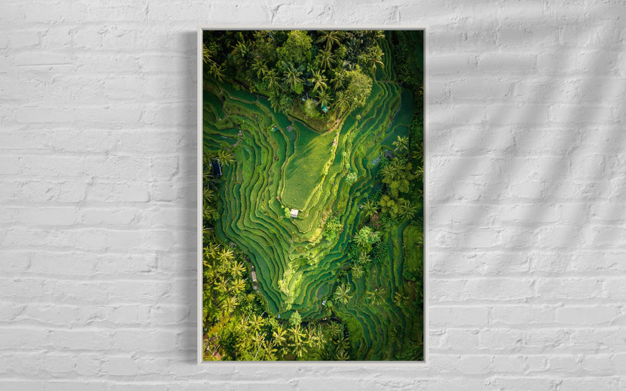 Tegalalang Rice Terrace, Ubud, Bali 5