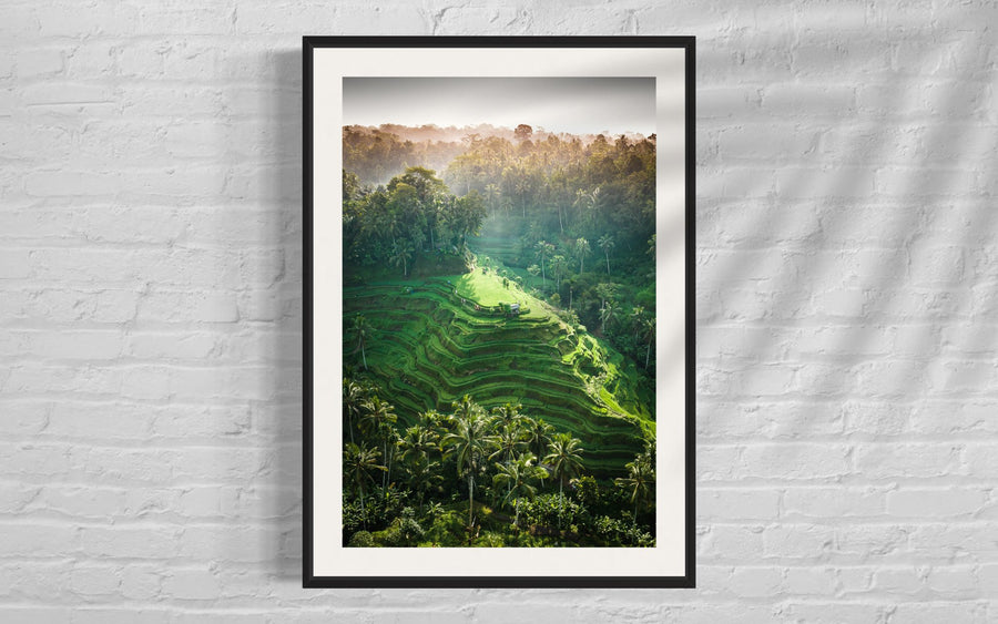 Tegalalang Rice Terrace, Ubud, Bali 6