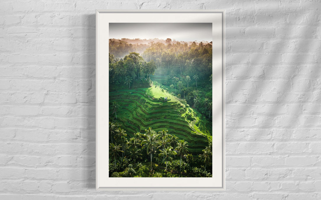 Tegalalang Rice Terrace, Ubud, Bali 6