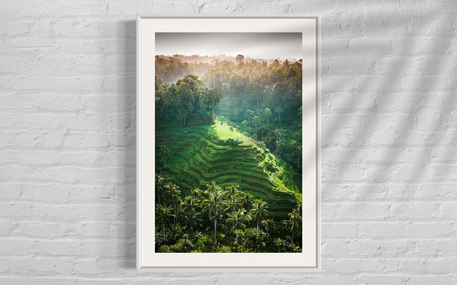Tegalalang Rice Terrace, Ubud, Bali 6