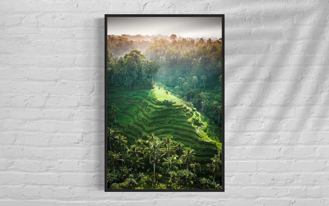 Tegalalang Rice Terrace, Ubud, Bali 6