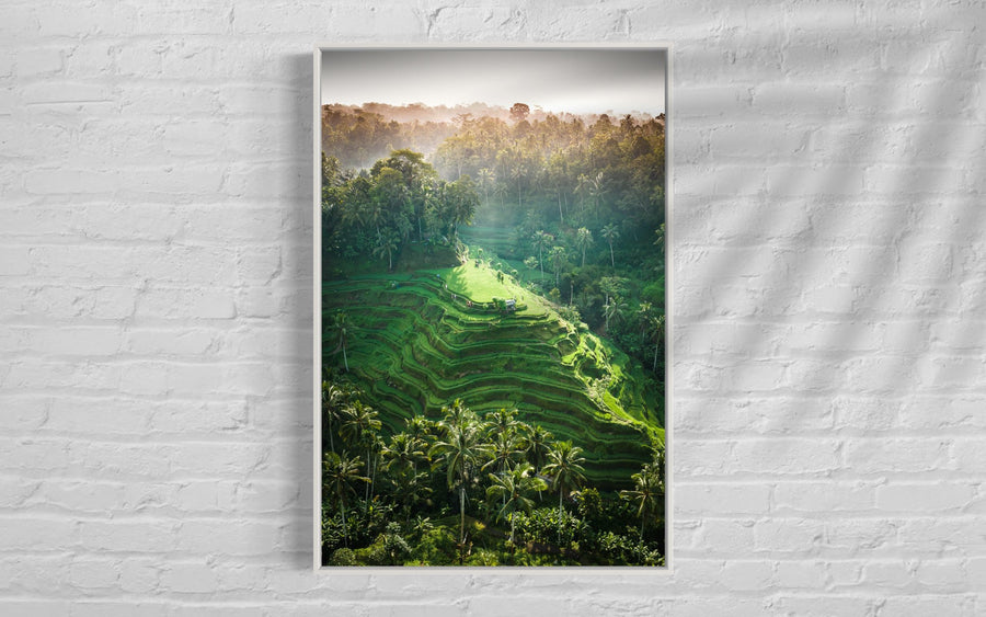 Tegalalang Rice Terrace, Ubud, Bali 6