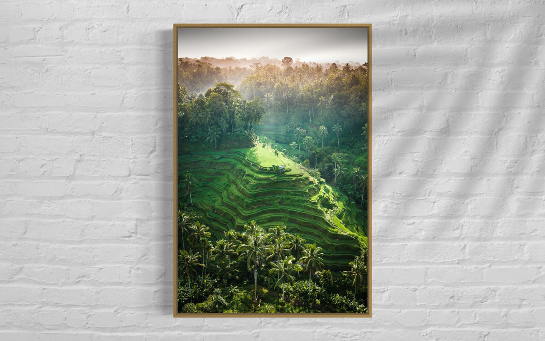 Tegalalang Rice Terrace, Ubud, Bali 6