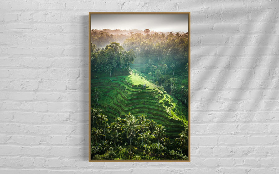 Tegalalang Rice Terrace, Ubud, Bali 6
