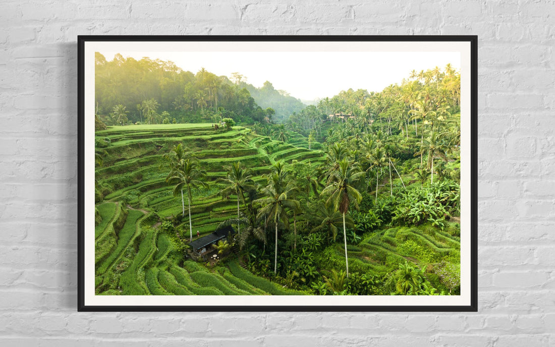 Tegalalang Rice Terrace, Ubud, Bali 3