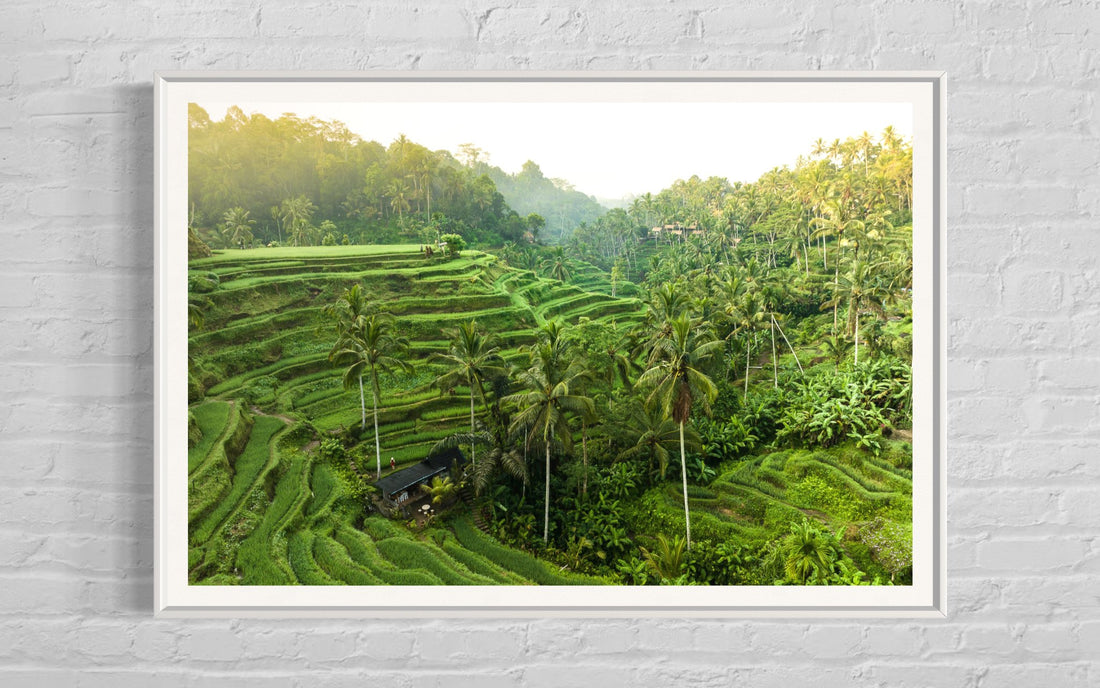 Tegalalang Rice Terrace, Ubud, Bali 3
