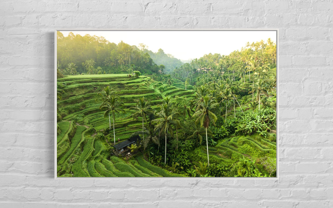 Tegalalang Rice Terrace, Ubud, Bali 3