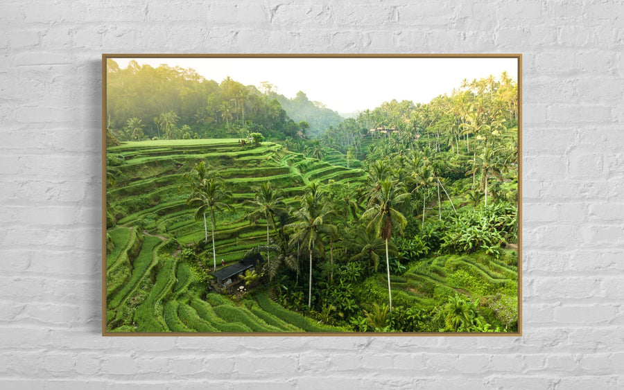Tegalalang Rice Terrace, Ubud, Bali 3