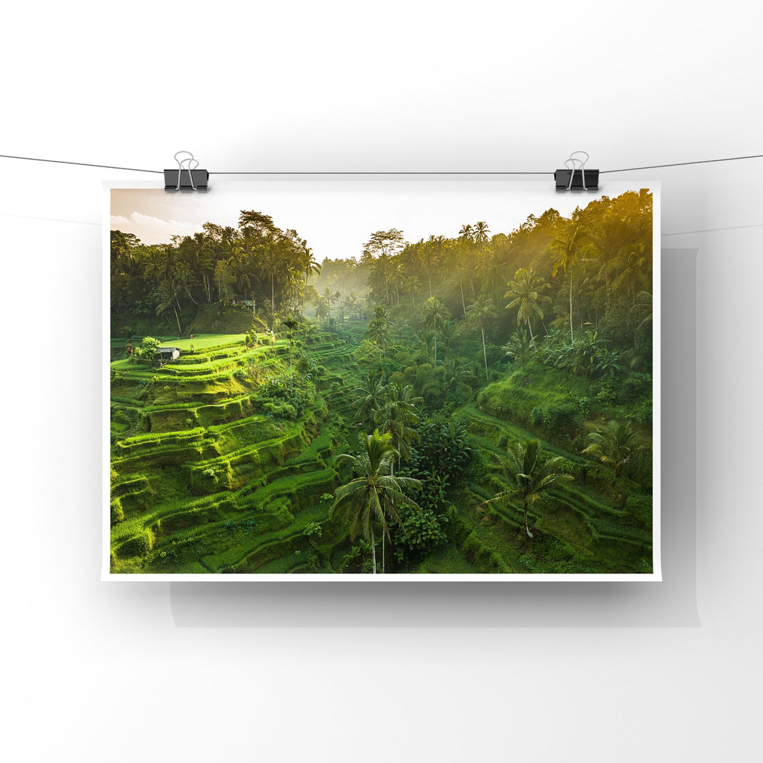 Tegalalang Rice Terrace, Ubud, Bali 7
