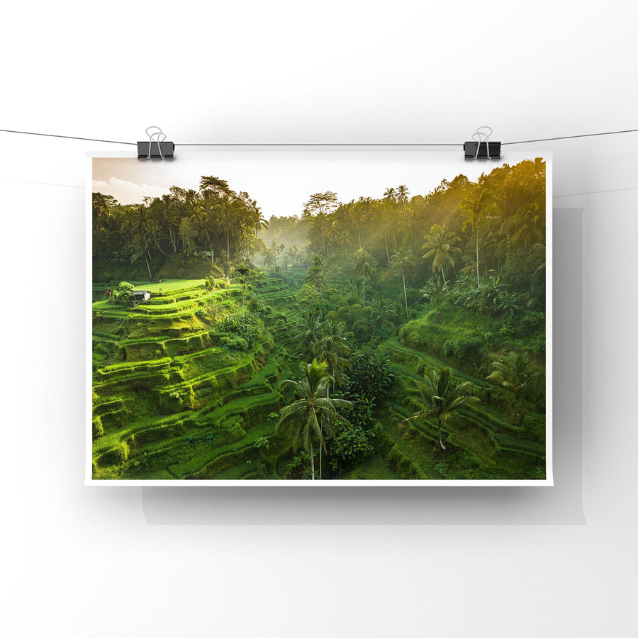Tegalalang Rice Terrace, Ubud, Bali 7