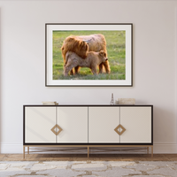 6616ab8ed8c3c268632d0a1d_a-mothers-love-cow-and-calf-mockup_1785070776477.png