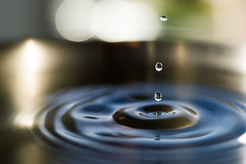 6616ab8ed8c3c268632d0a1d_a7402179-small-2_1748314470735.jpg