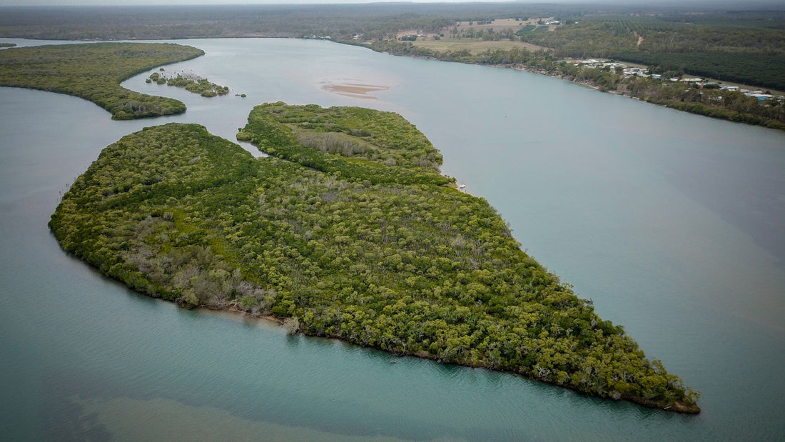 6616ab8ed8c3c268632d0a1d_aerial-photo-of-green-love-heart-shaped-island-near-baffle-creek-queensland_1768022167509.jpg