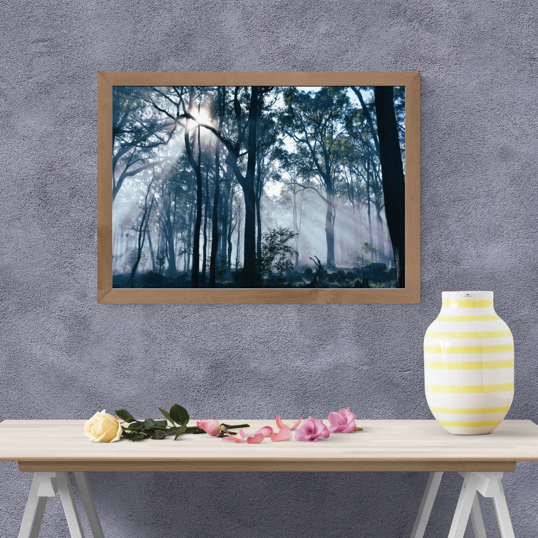 6616ab8ed8c3c268632d0a1d_australian-bush-on-a-winter-morning-mock-up_1765862302910.png
