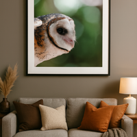 6616ab8ed8c3c268632d0a1d_barn-owl_1768023404043.png