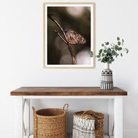 6616ab8ed8c3c268632d0a1d_blue-tiger-butterfly-print-wood-frame_1763359406887.jpg