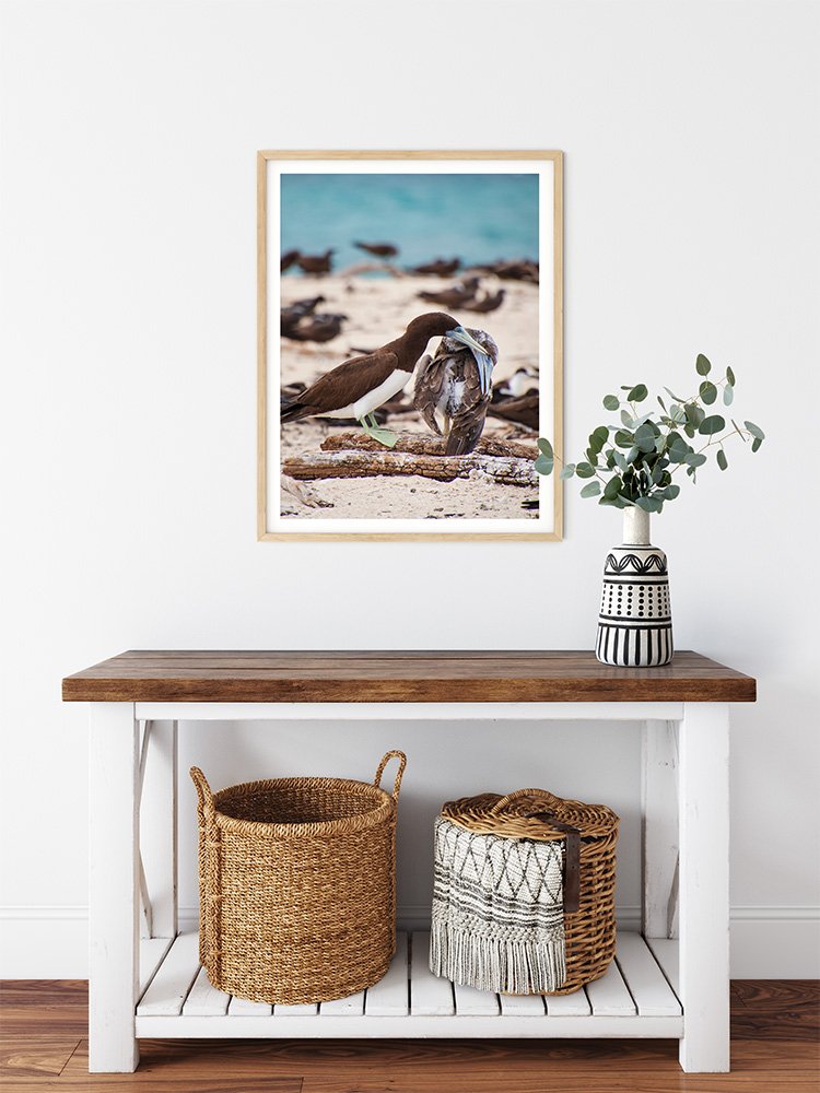 6616ab8ed8c3c268632d0a1d_brown-booby-with-juvenille-wood-frame_1765687989902.jpg
