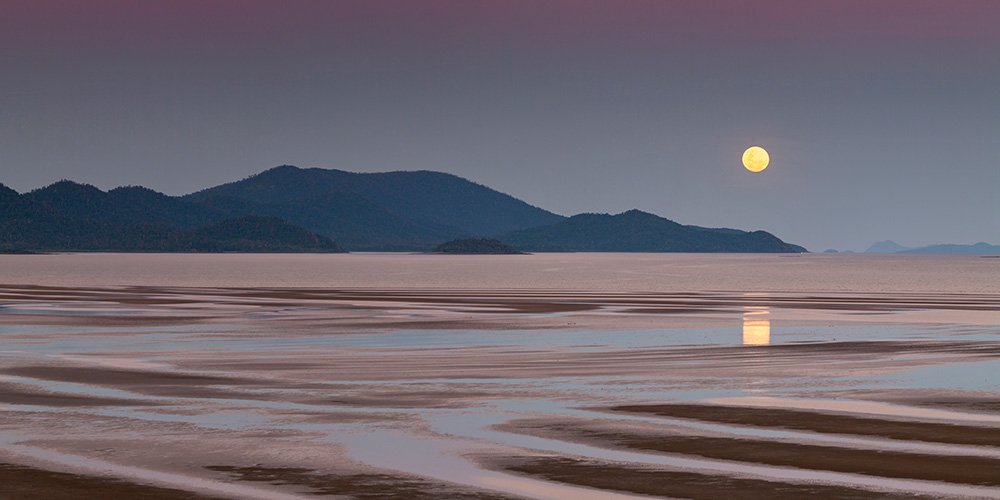 6616ab8ed8c3c268632d0a1d_cape-conway-moonrise-1-web_1770523461085.jpg