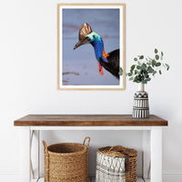 6616ab8ed8c3c268632d0a1d_cassowary-beach-portrait-wood-frame_1763360169287.jpg