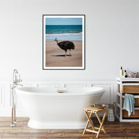 6616ab8ed8c3c268632d0a1d_cassowary-print-2-black-frame_1763359978874.jpg