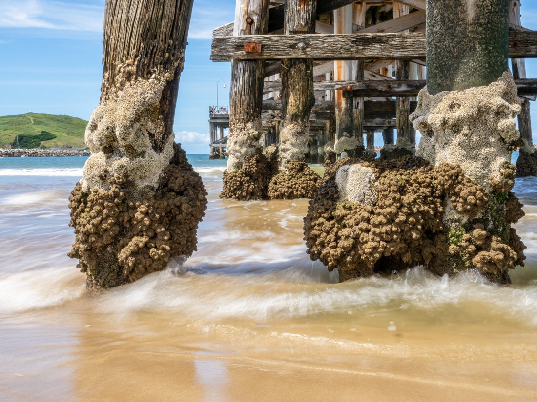 6616ab8ed8c3c268632d0a1d_chill-coffs-jetty-nsw-little_1791366415363.jpg