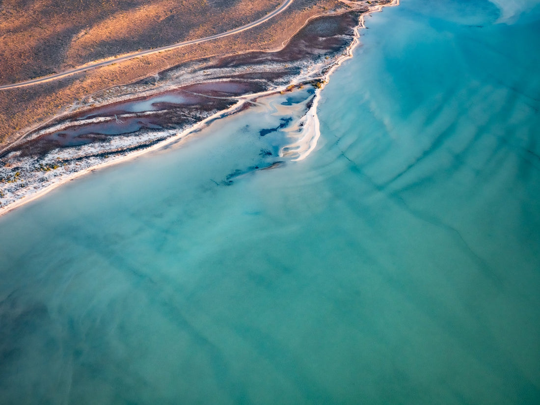 6616ab8ed8c3c268632d0a1d_chrisgordon-roadtrip-sharkbay-5202056-190520-lowres_1784173198057.jpg