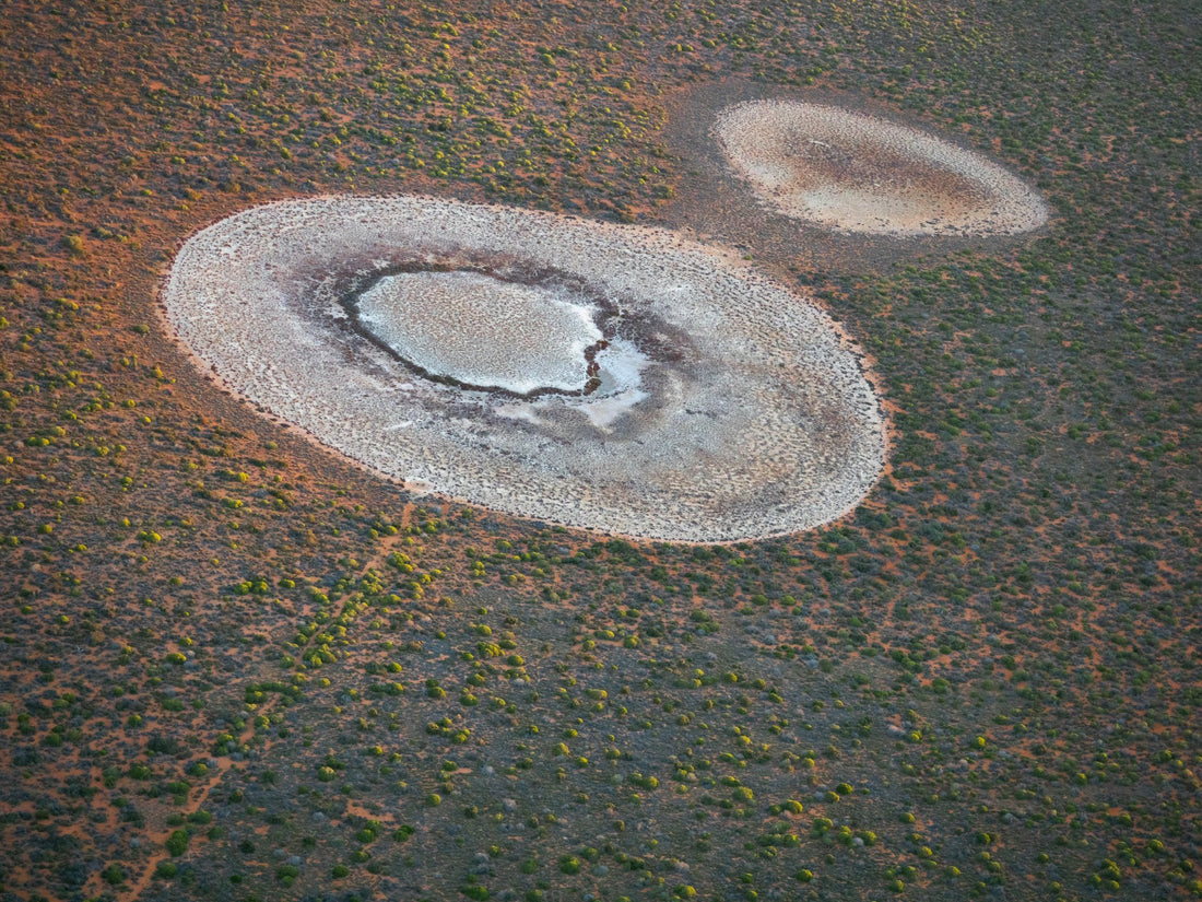 6616ab8ed8c3c268632d0a1d_chrisgordon-roadtrip-sharkbay-5202130-190520-lowres_1784173411331.jpg