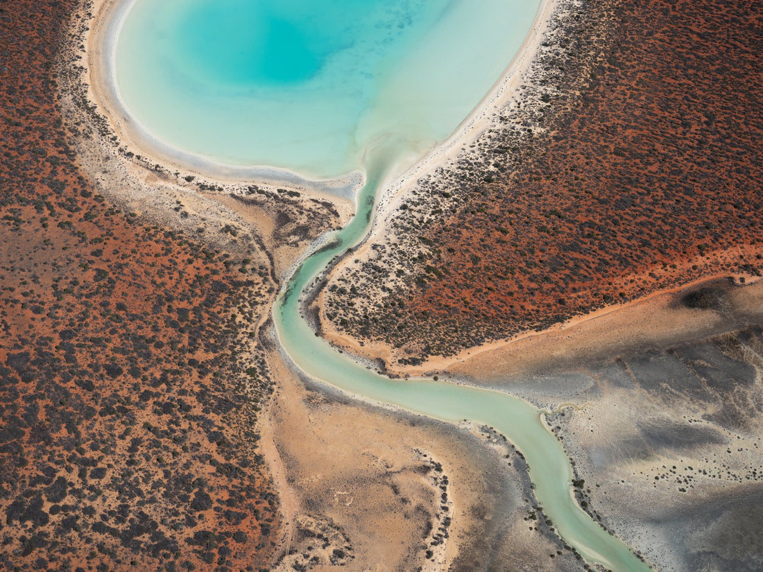 6616ab8ed8c3c268632d0a1d_chrisgordon-roadtrip-sharkbay-tp-flight2-5213655-190521-lowres_1781656922833.jpg