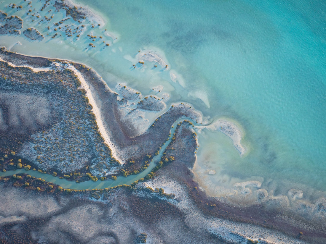 6616ab8ed8c3c268632d0a1d_chrisgordon-roadtrip-sharkbay-tp-ft3-5214621-190521-lowres_1782954272759.jpg