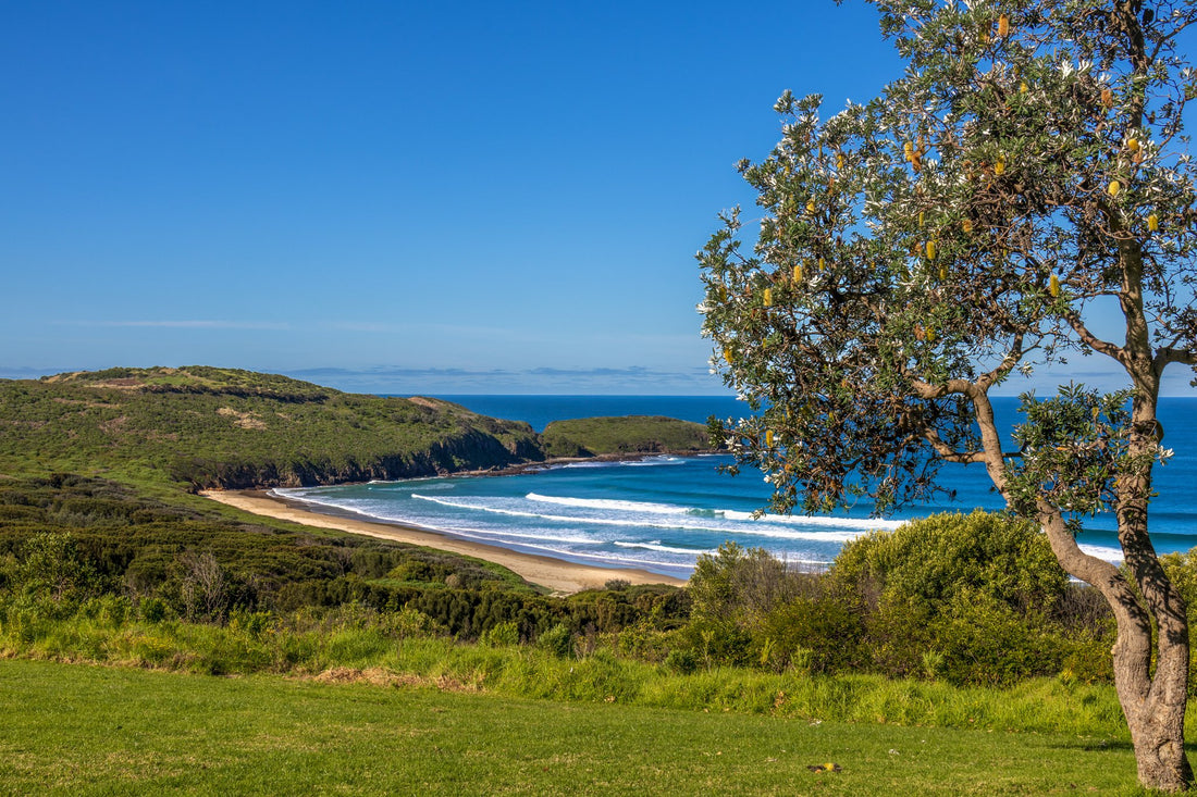 6616ab8ed8c3c268632d0a1d_coastal-solitude-1_1785754233370.jpg